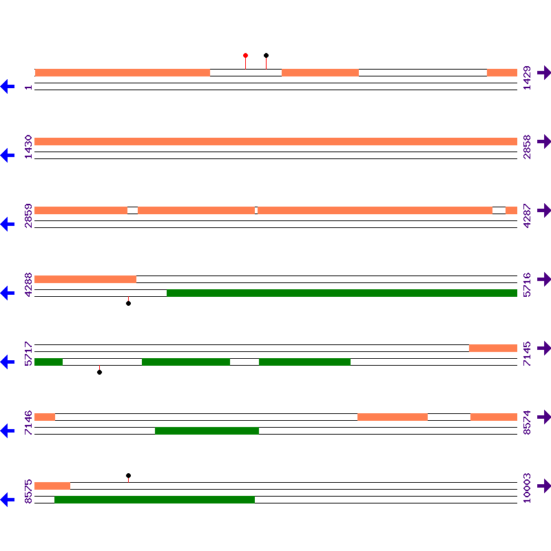 Genome View