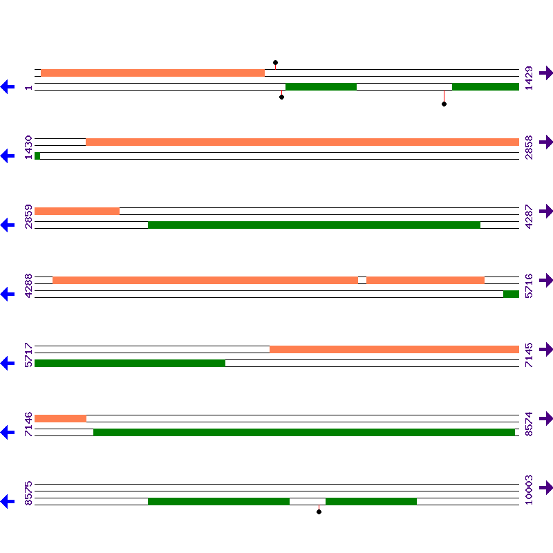 Genome View