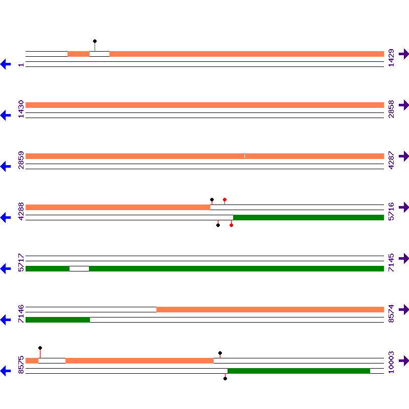 Genome View