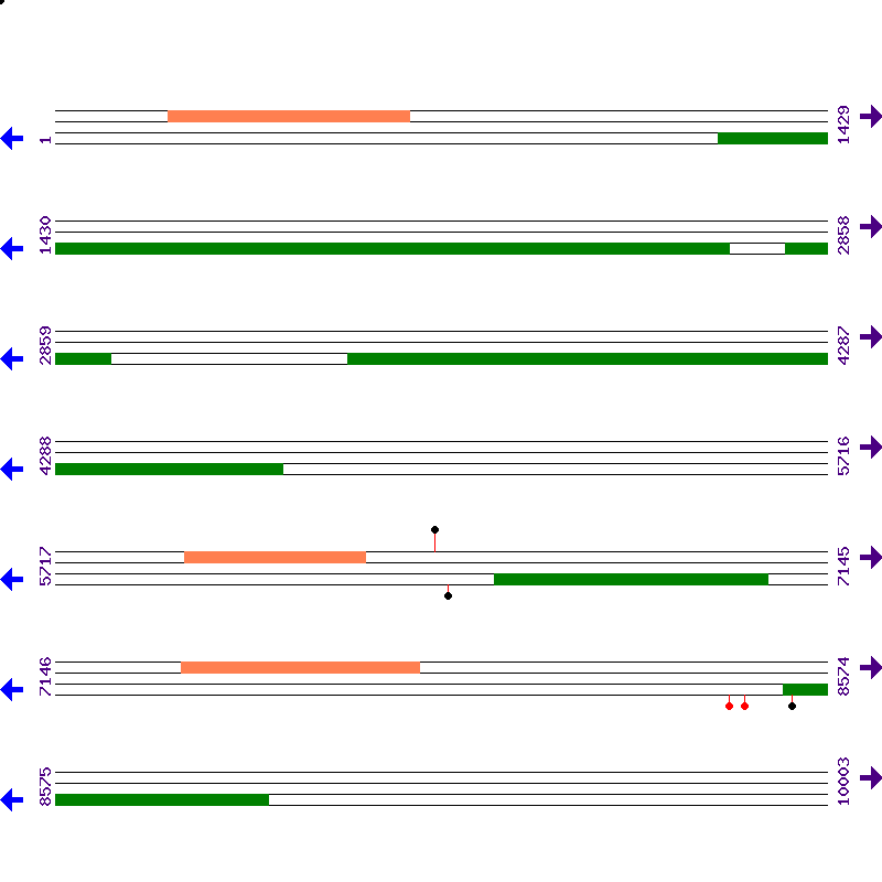 Genome View