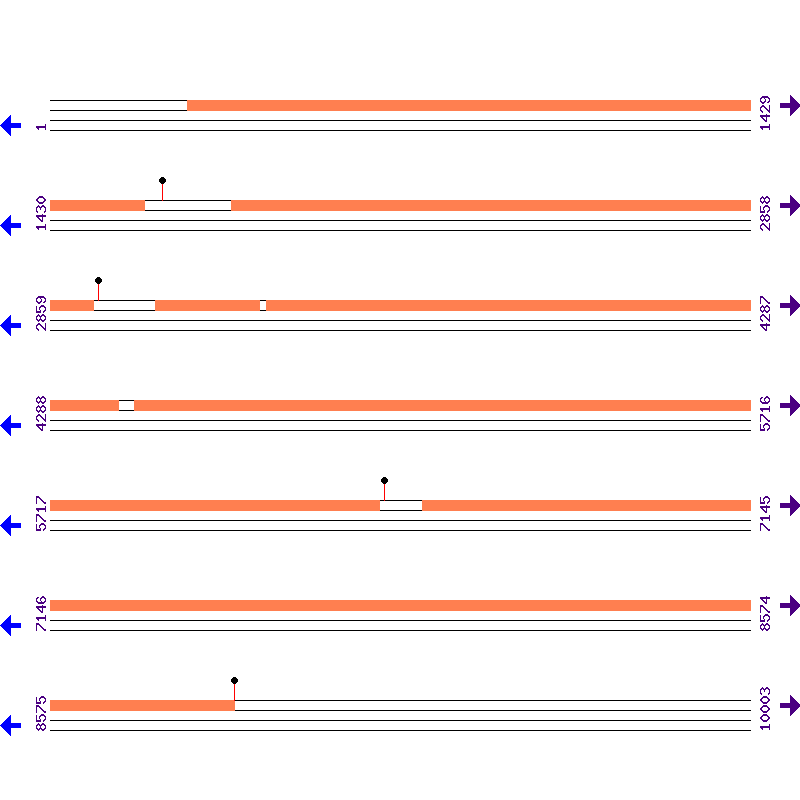 Genome View