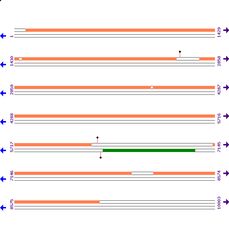 Genome View