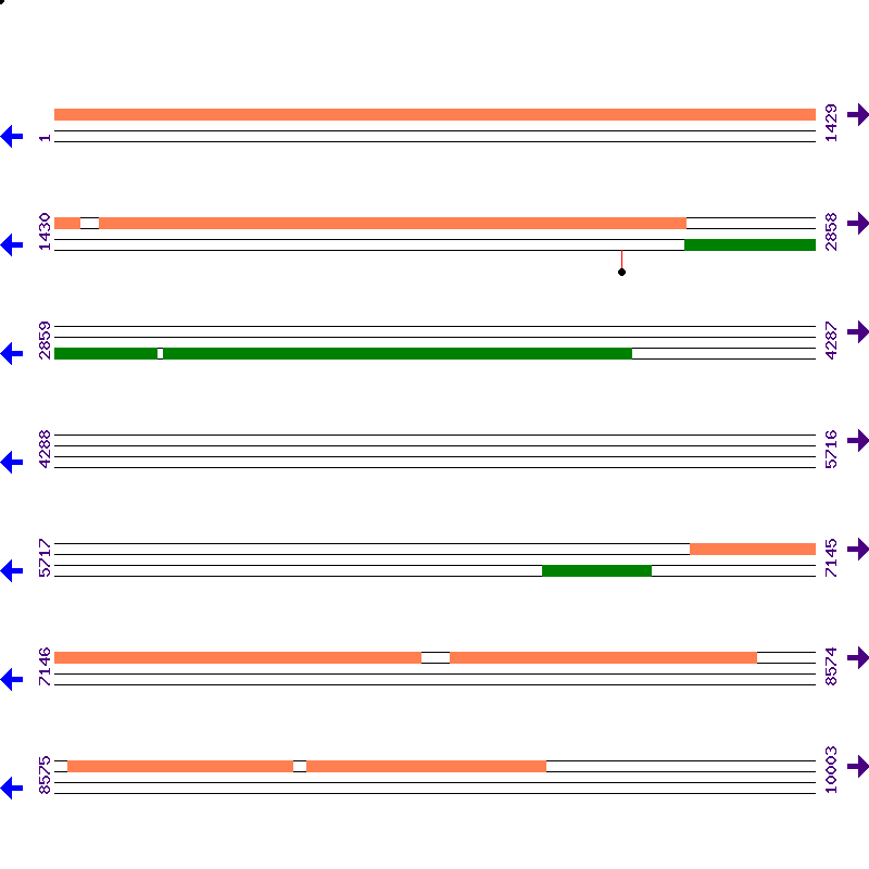 Genome View