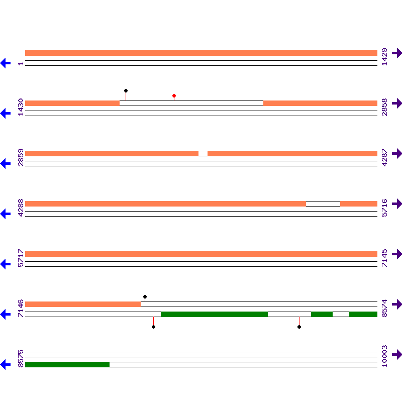 Genome View