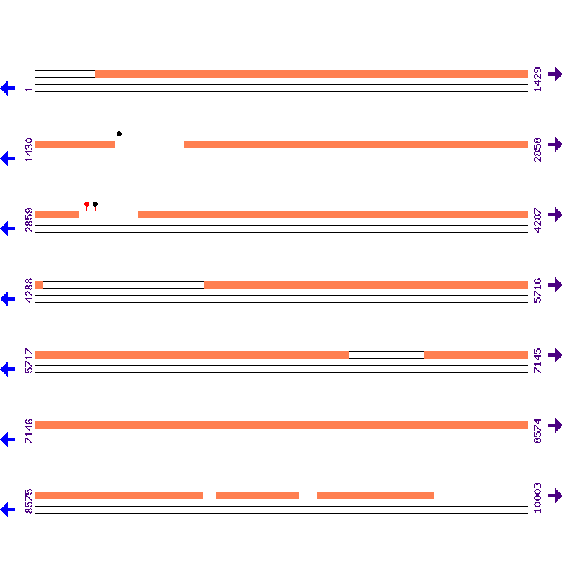 Genome View