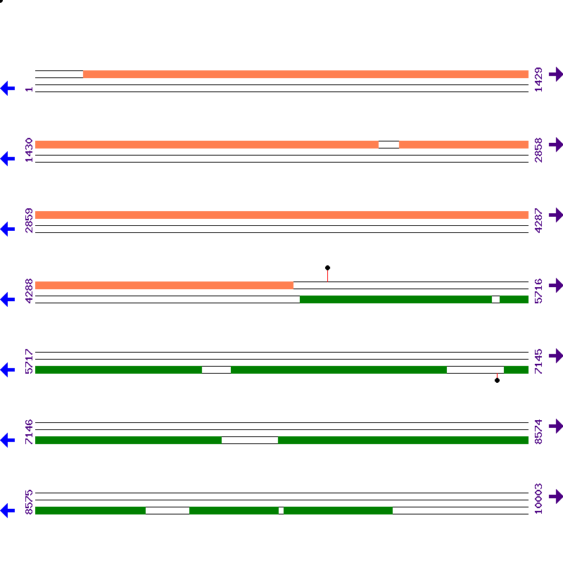 Genome View