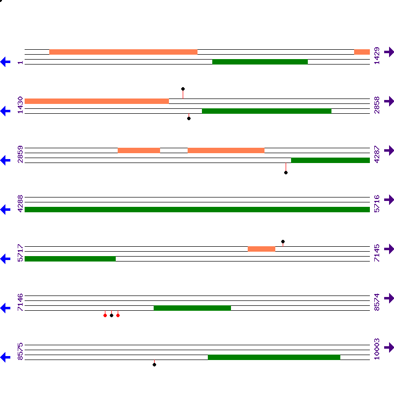 Genome View