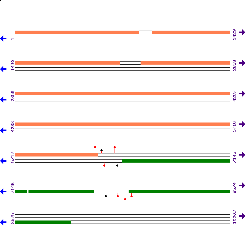 Genome View