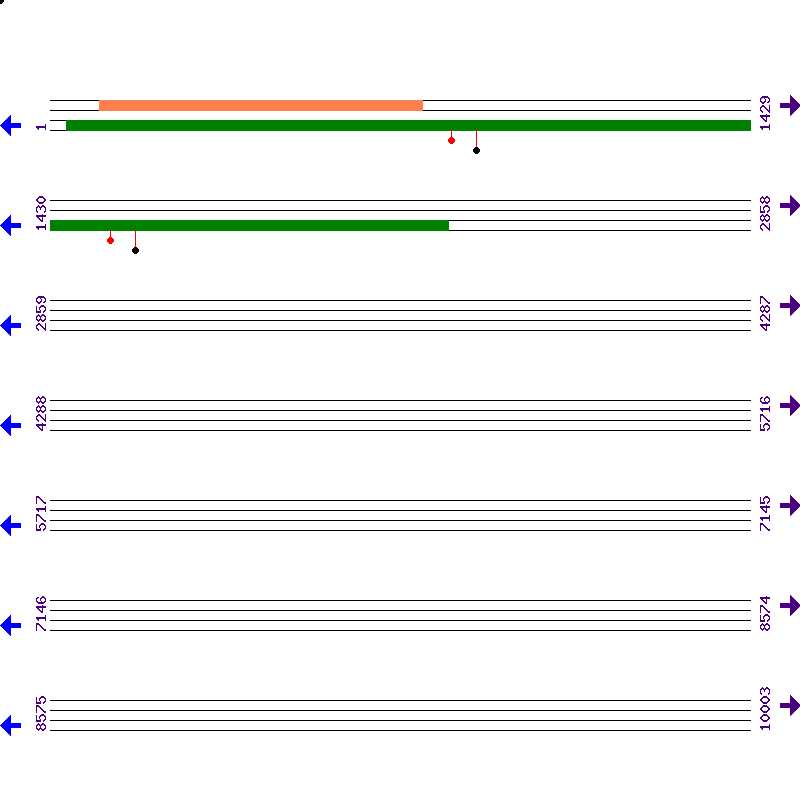 Genome View