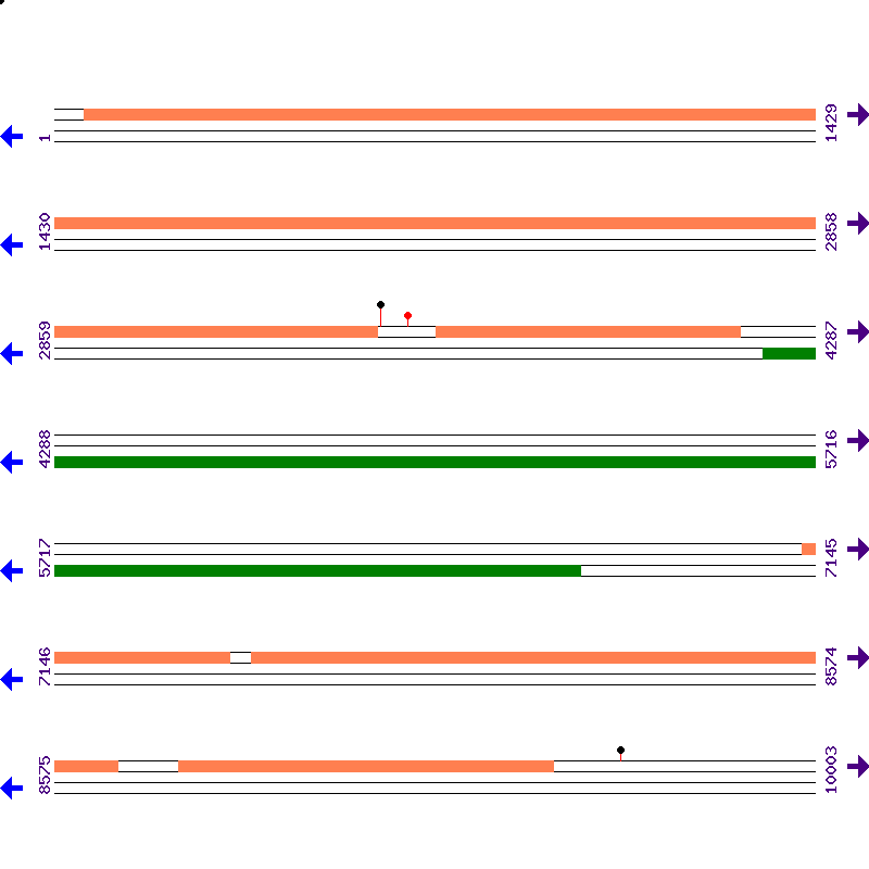 Genome View