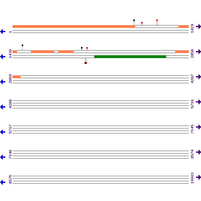 Genome View