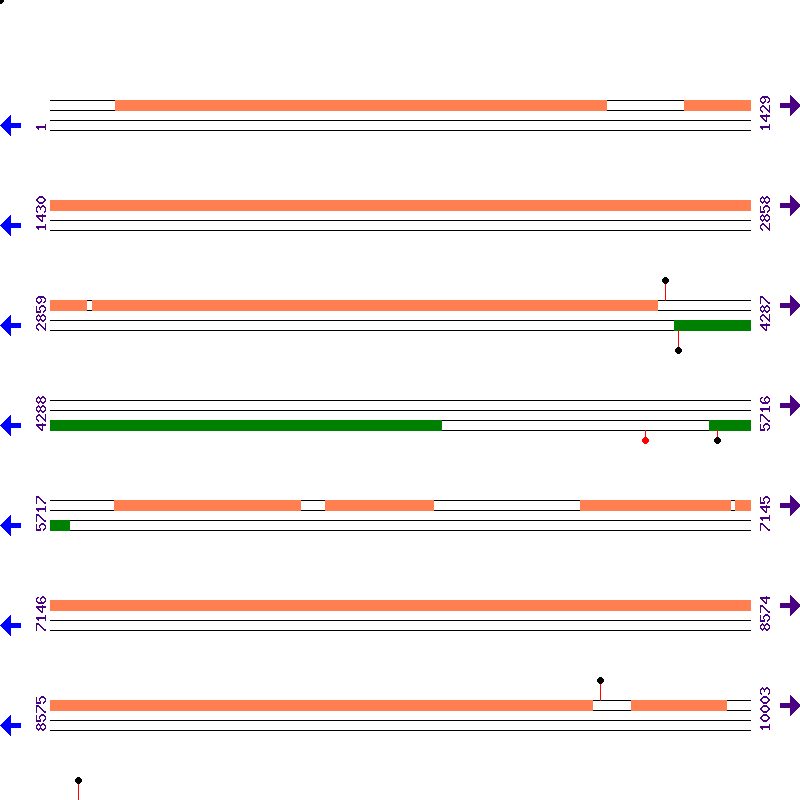 Genome View