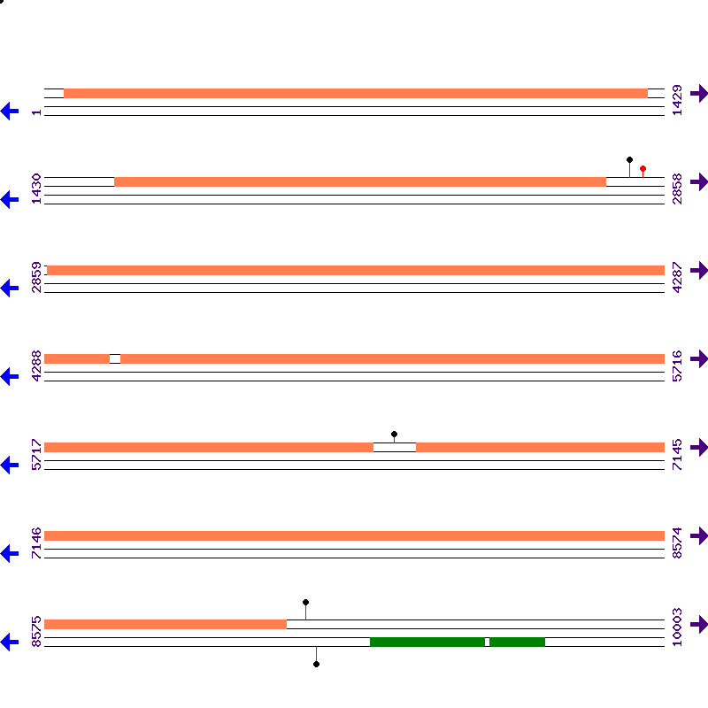 Genome View