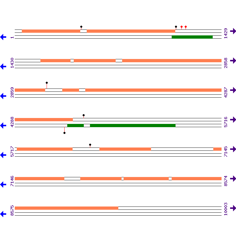 Genome View