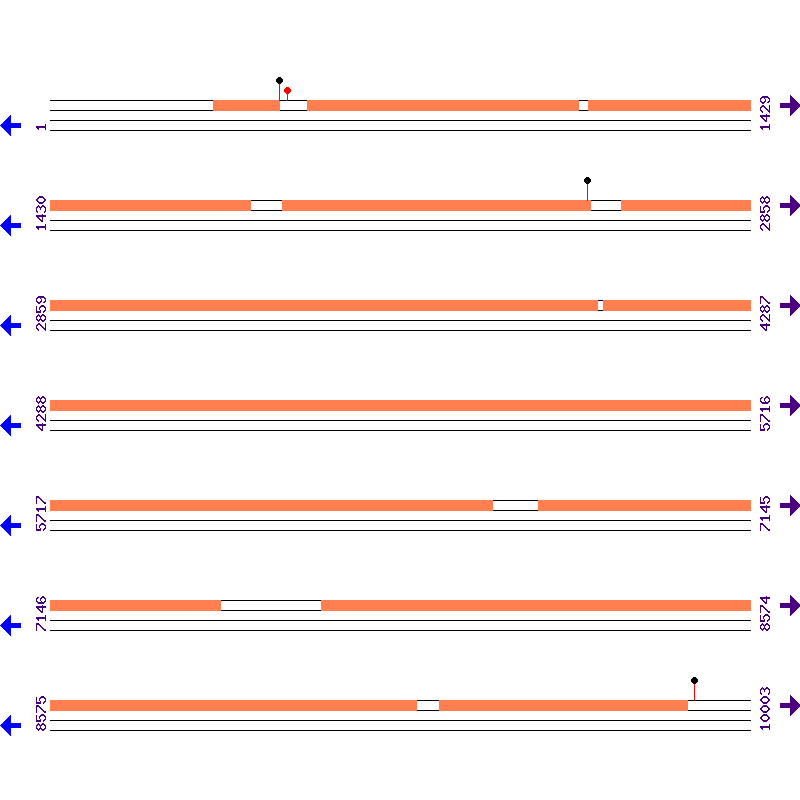 Genome View