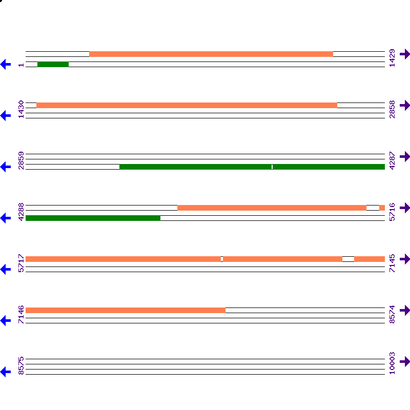 Genome View