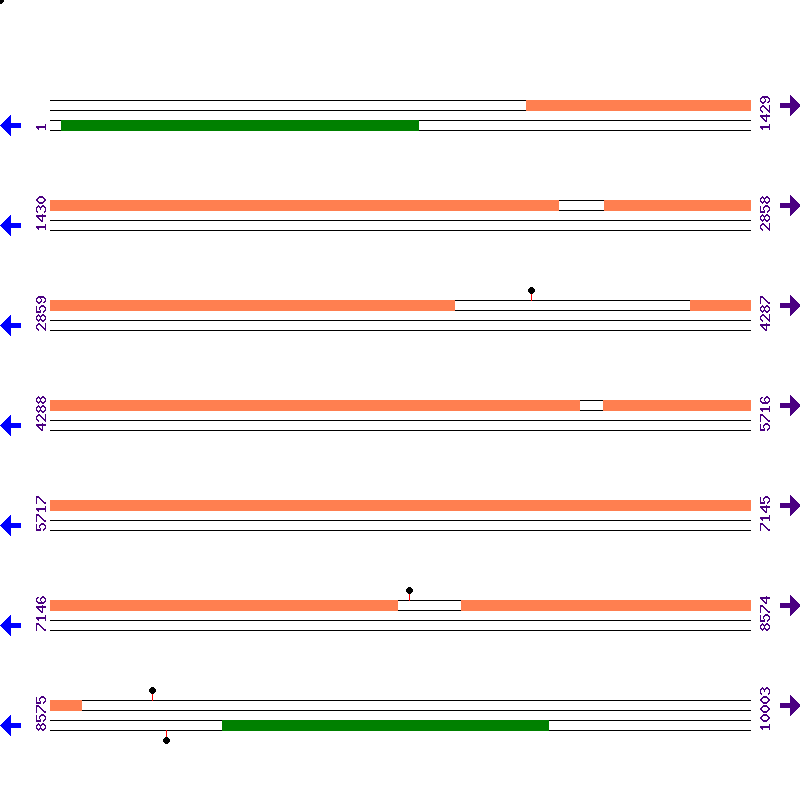 Genome View
