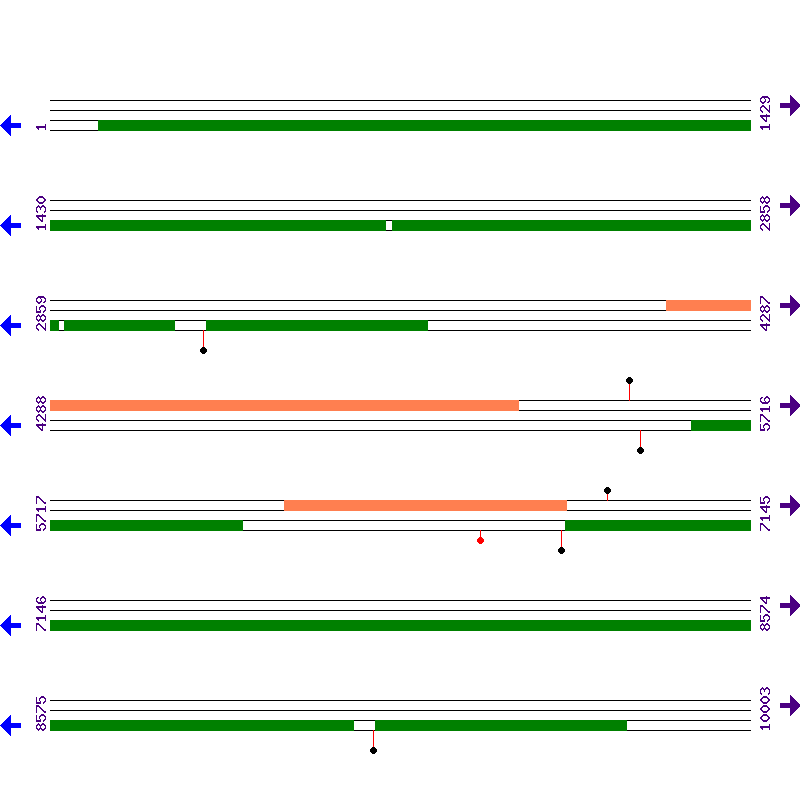 Genome View
