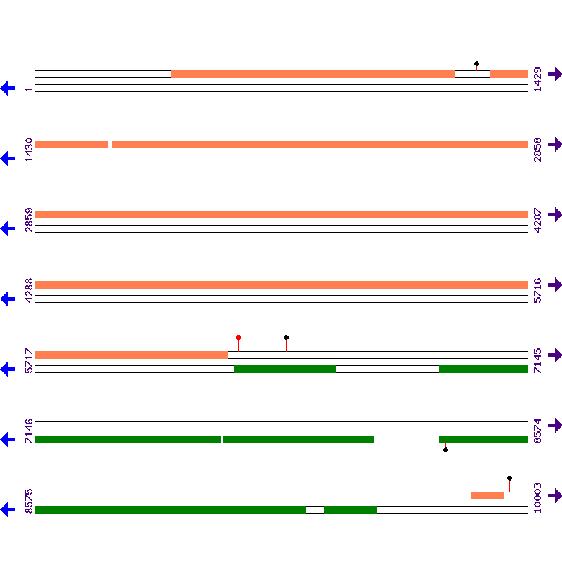 Genome View
