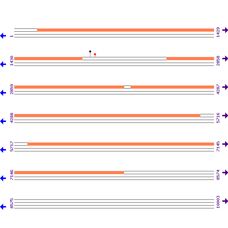 Genome View