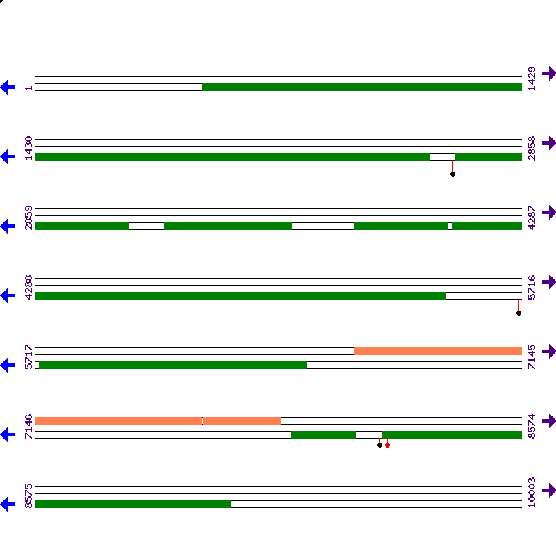 Genome View