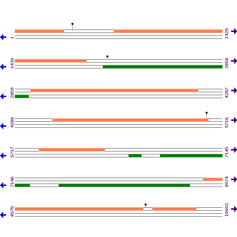 Genome View