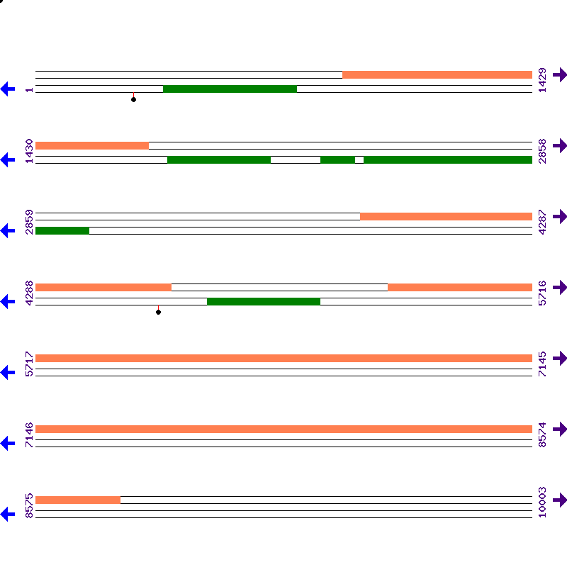 Genome View