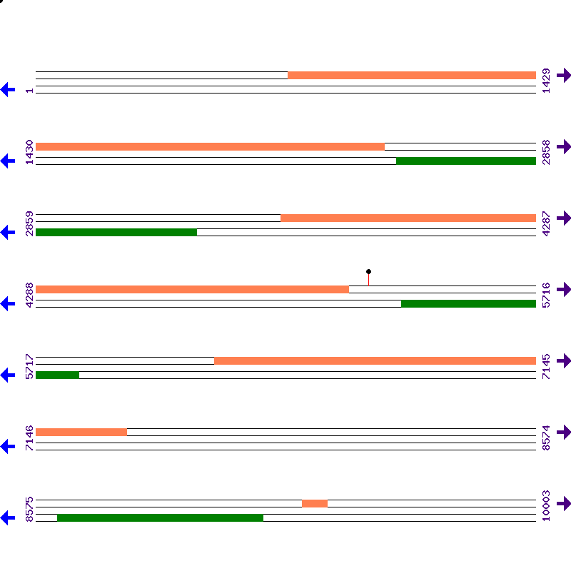 Genome View