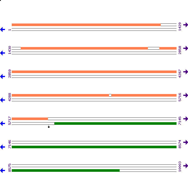 Genome View