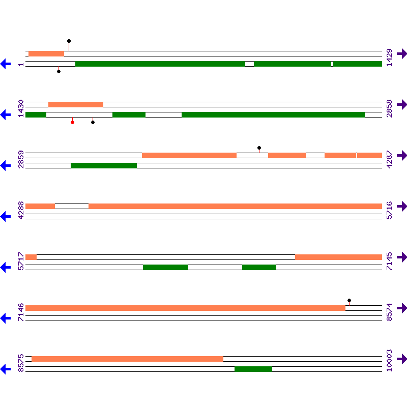 Genome View