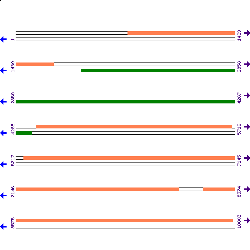 Genome View