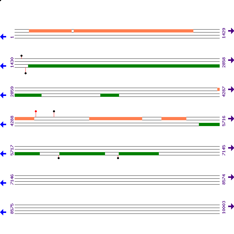 Genome View