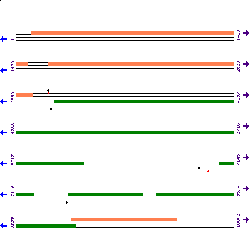 Genome View