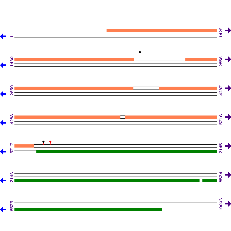 Genome View