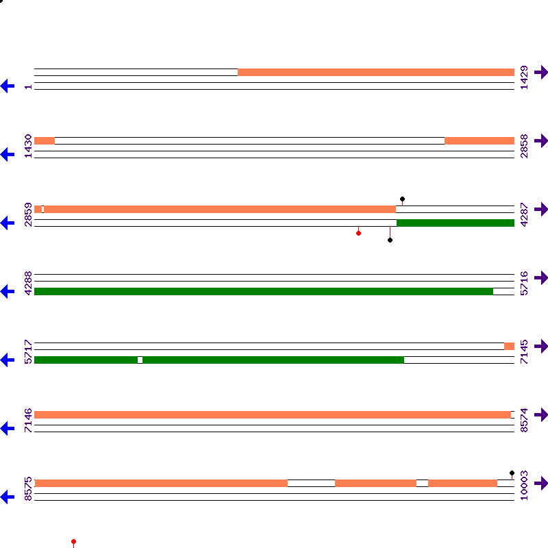 Genome View