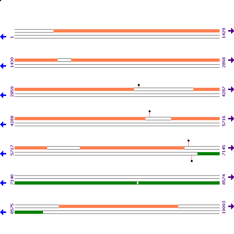 Genome View