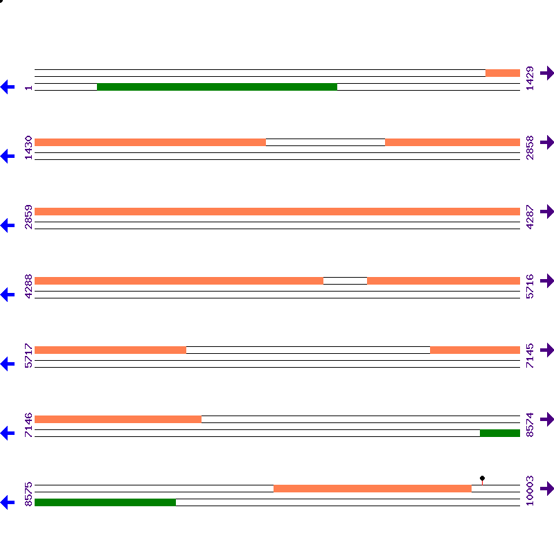Genome View
