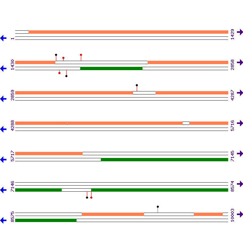 Genome View