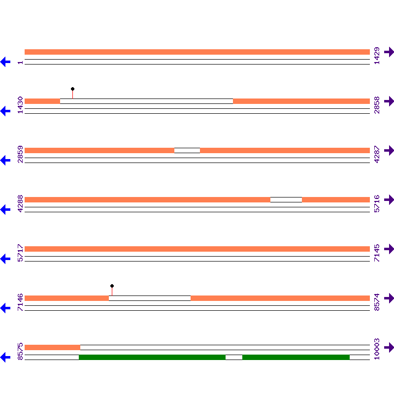 Genome View