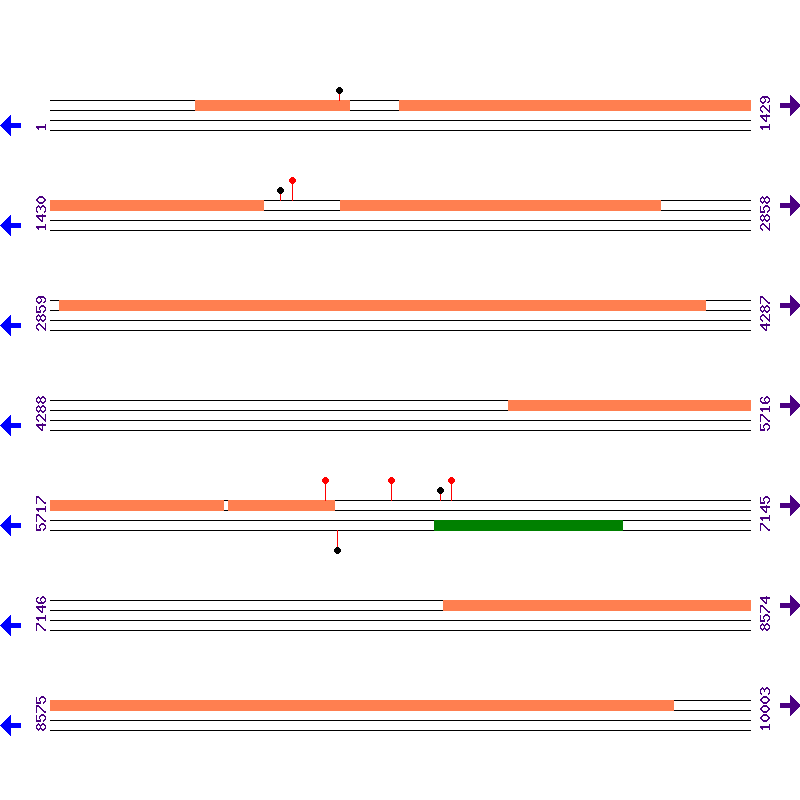 Genome View