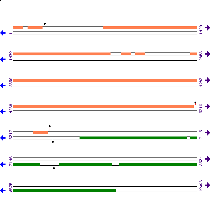 Genome View