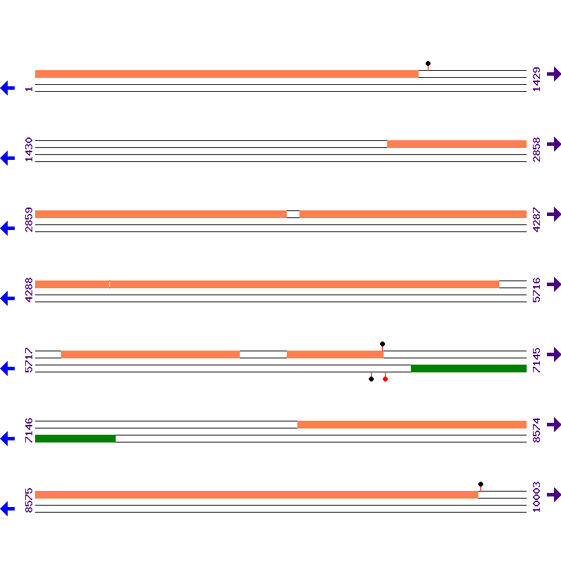 Genome View