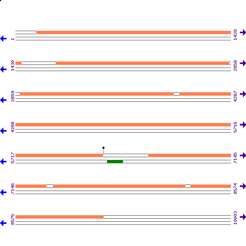 Genome View