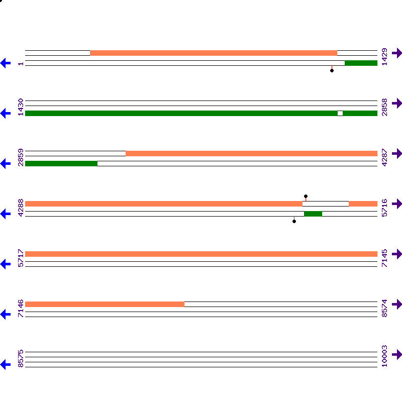 Genome View