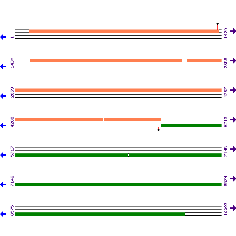 Genome View