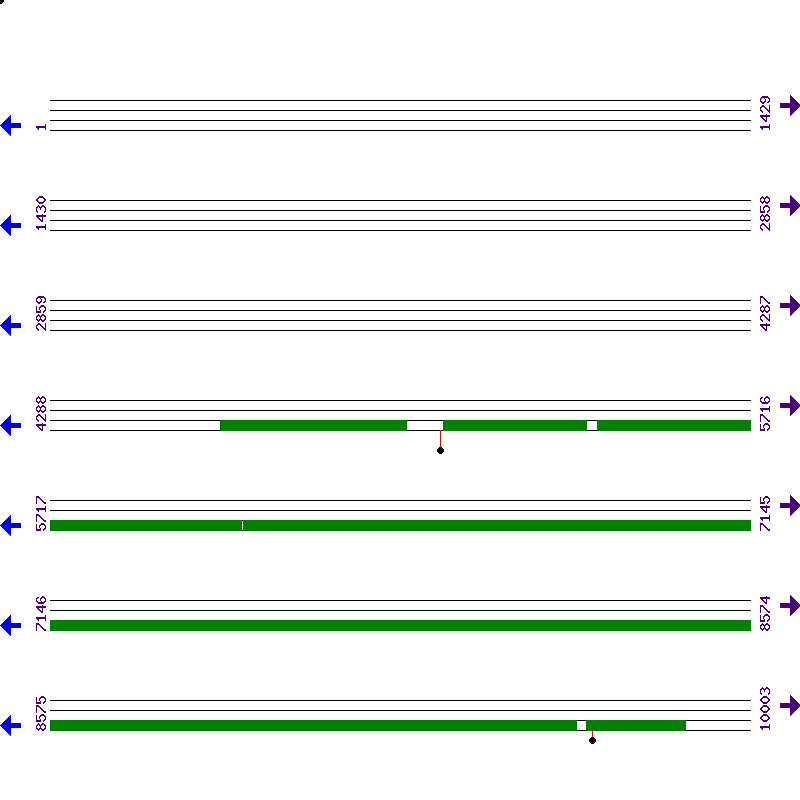 Genome View