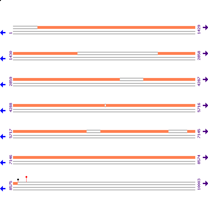 Genome View