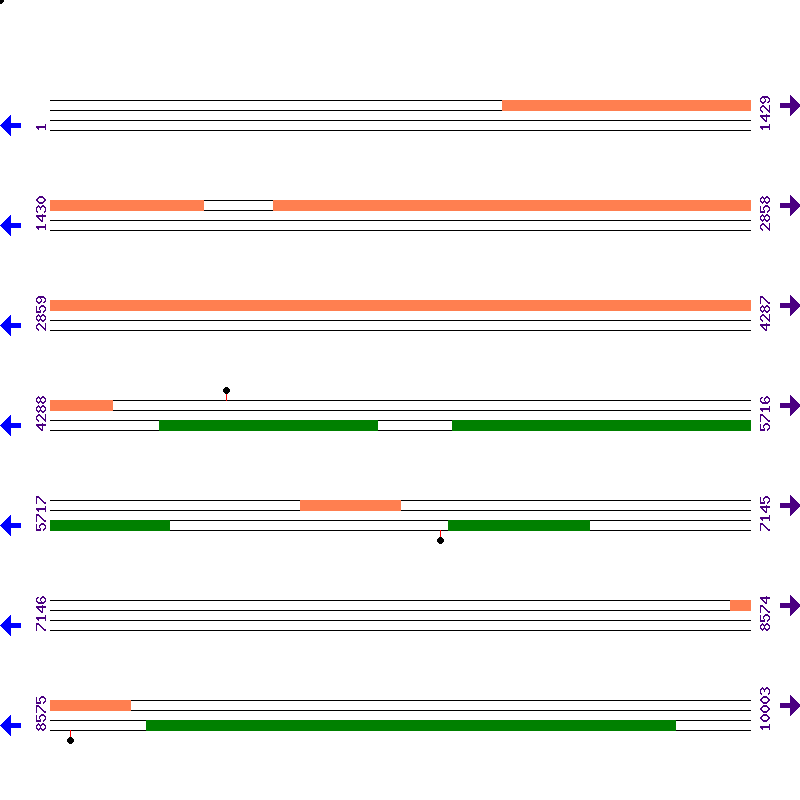 Genome View