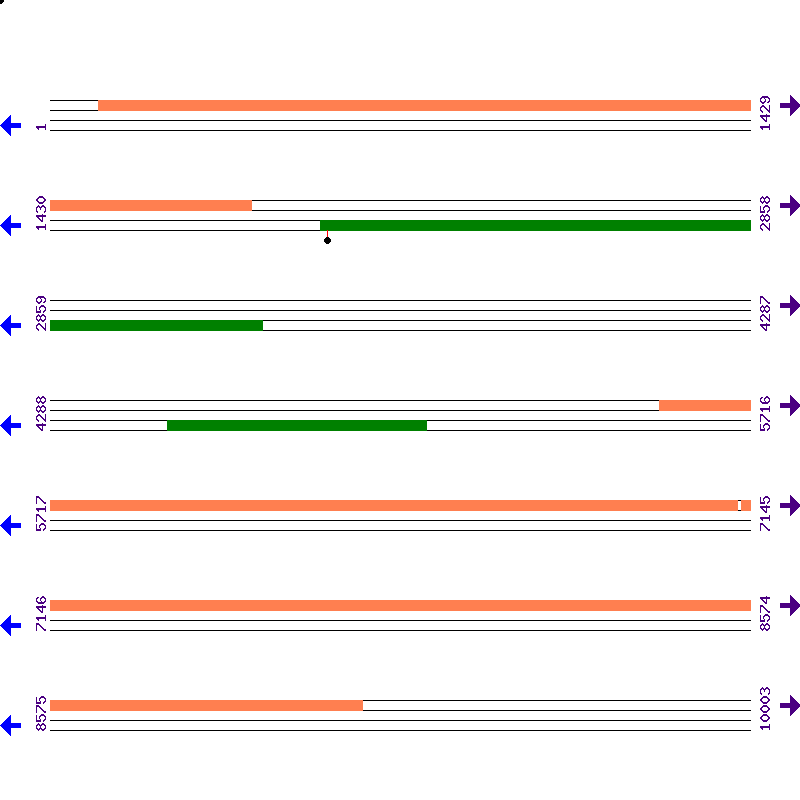 Genome View