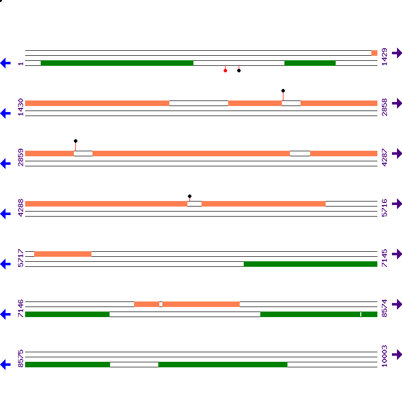 Genome View